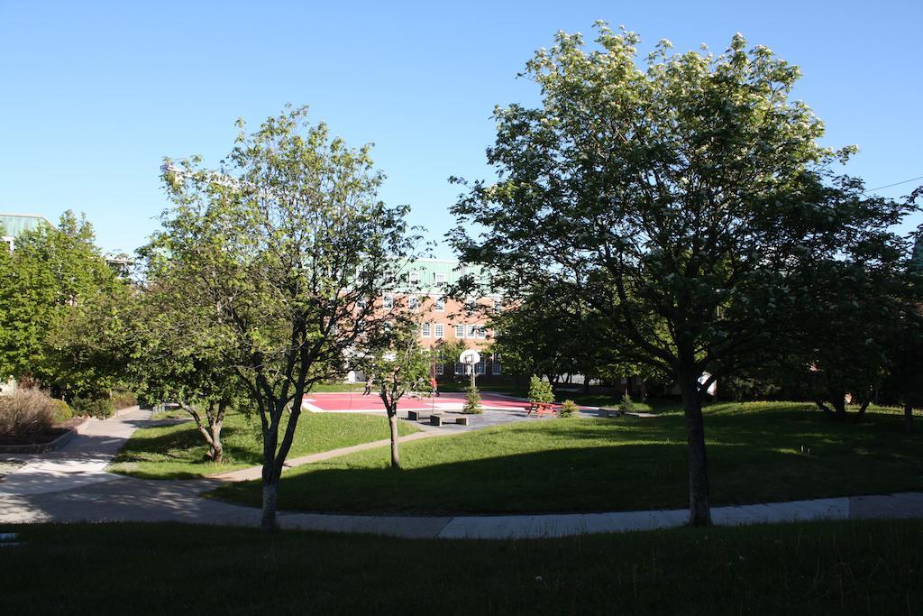 Memorial University Сент-Джонс Екстер'єр фото
