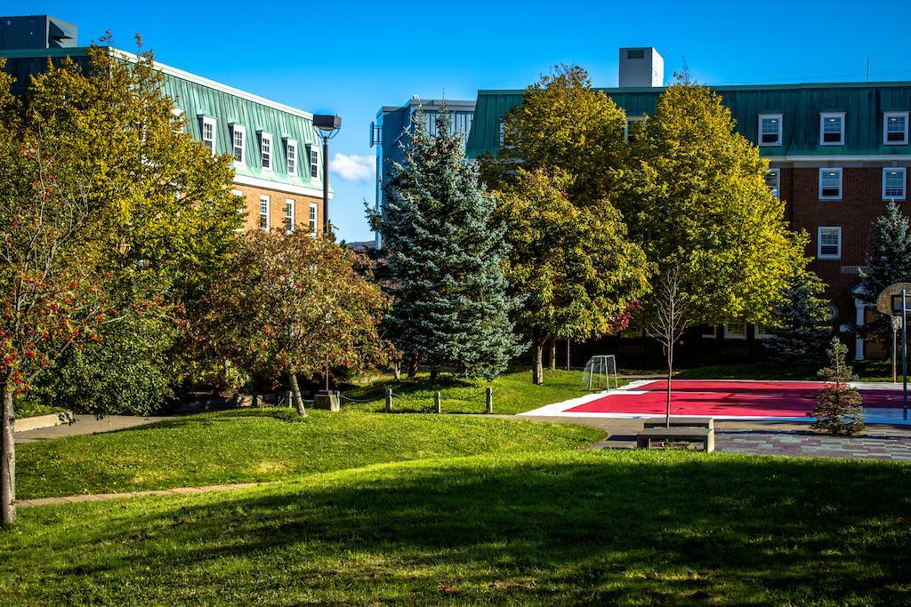 Memorial University Сент-Джонс Екстер'єр фото